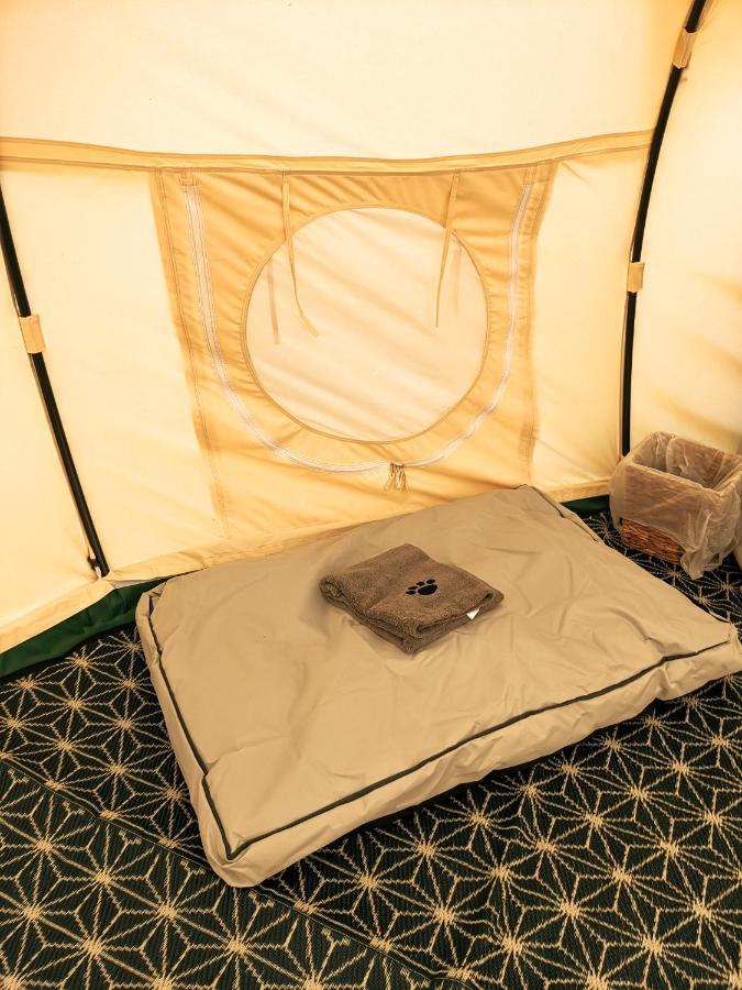 Immaculate Lotus Belle Tent Retreat North Devon Bideford